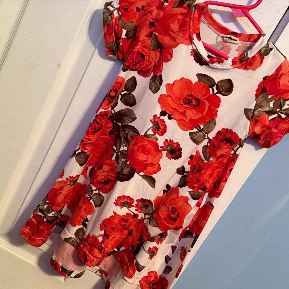 Little Lopers 3T Dress